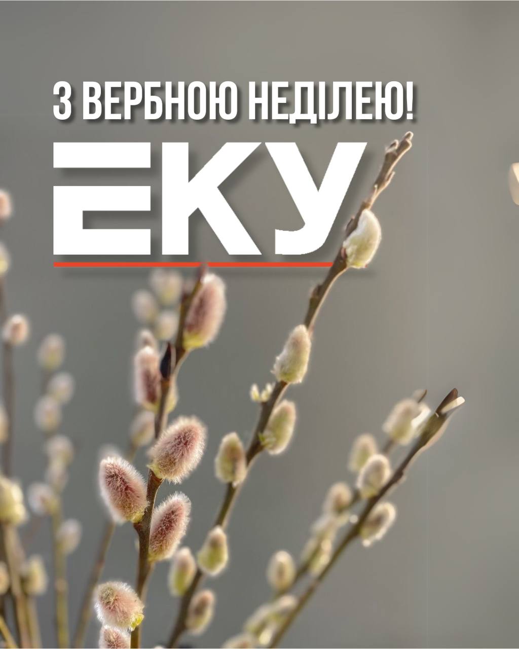 З ВЕРБНОЮ НЕДІЛЕЮ!